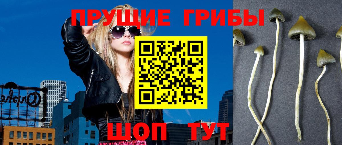 Галлюциногенные грибы прущие грибы Туапсе